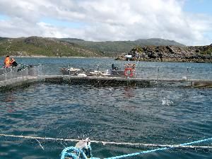 Fish farm loch sunnart